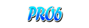 PRO6
